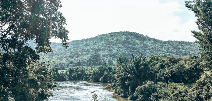 Beitragsbild Dschungel und Fluss Kanchanaburi