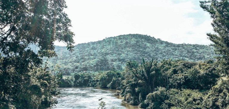 Beitragsbild Dschungel und Fluss Kanchanaburi