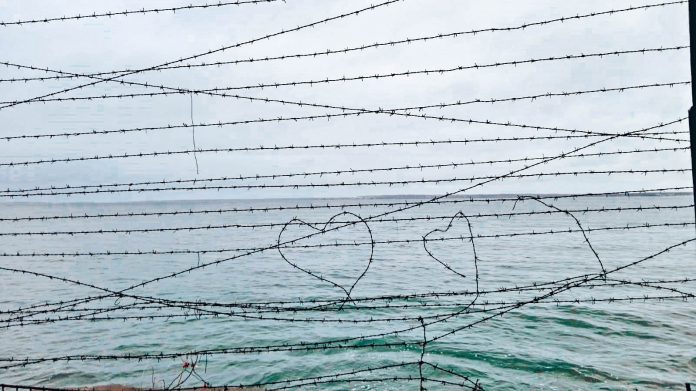 herz Beitragsbild Maschendrahtzaun