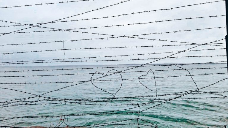 Beitragsbild Maschendrahtzaun