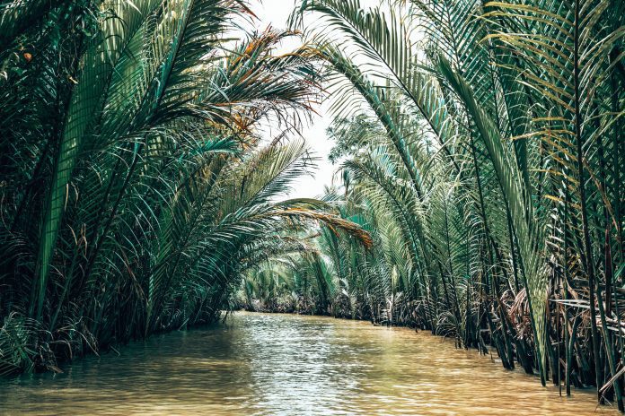 Beitragsbild Mekongdelta