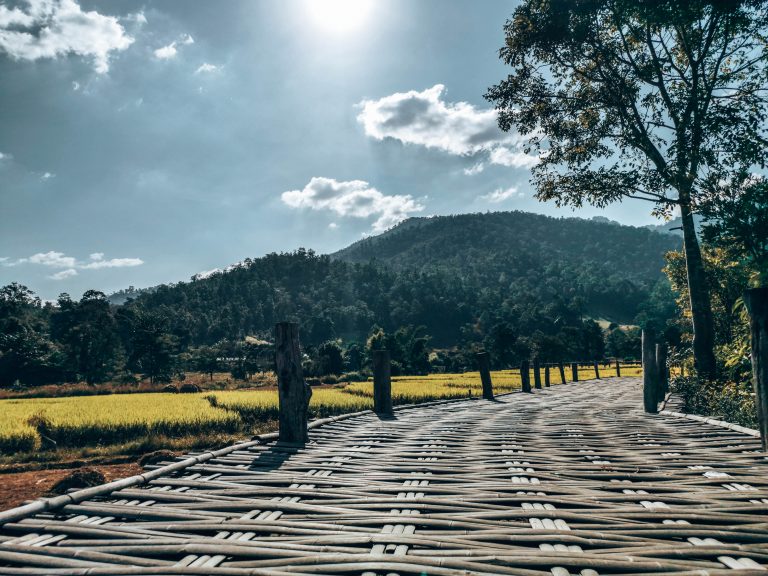 Bamboo Bridge